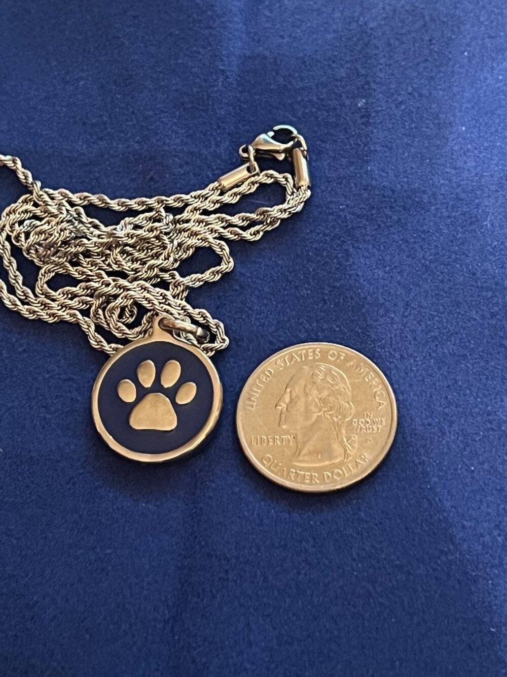Stainless Steel Paw Print Pendant Necklace (487)